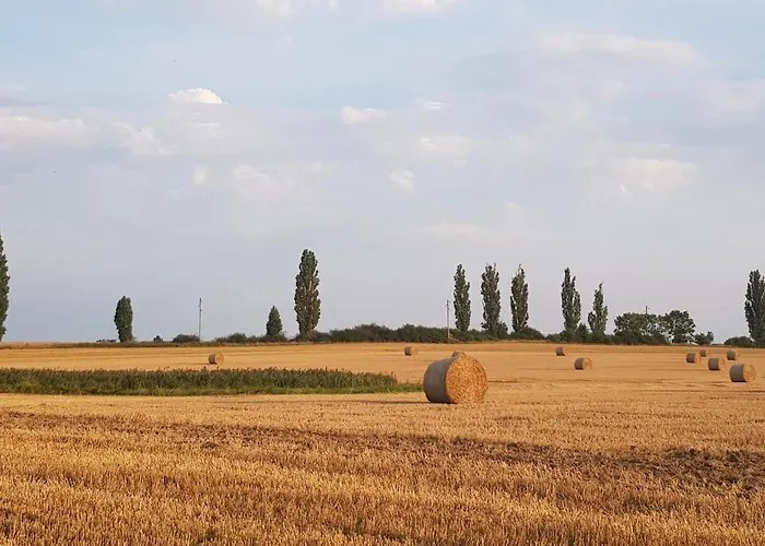 Rohrbruch Lägenhet Lansen